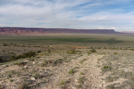 Day 40: Leaving For The Grand Canyon