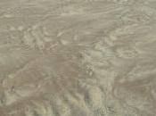 Demographics Don’t Give Them Just