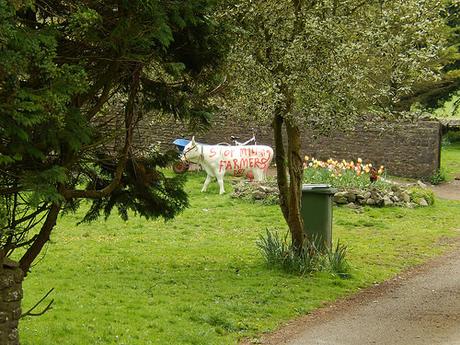 Cheddar Gorge