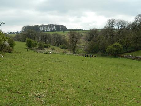 Cheddar Gorge