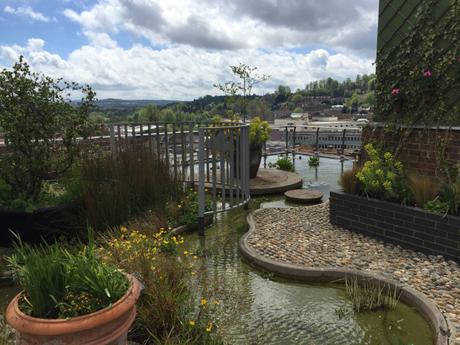 Have lunch at the Tea Terrace on the roof of House of Fraser in Guildford