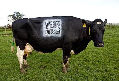Digital daisy ~ the cow with bar code !!!