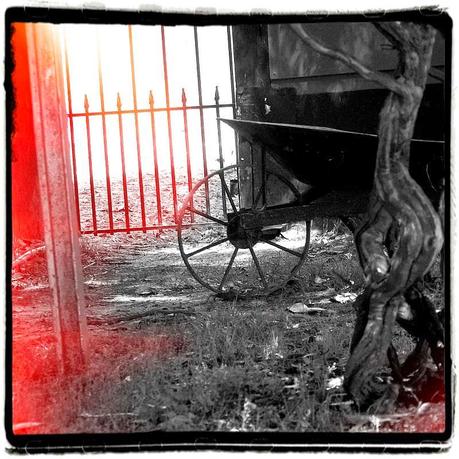 Jesus as Shepherd, and I AM the Door