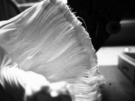 teija-eilola-fashion-designer