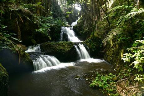 HAWAII TROPICAL BOTANICAL GARDEN:  Hilo, Hawaii