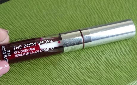 The Body Shop Lip & Cheek Stain in Rose Pink (01) Review Swatches Price and How to Use