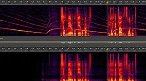 23 Reasons Why You Should Buy Adobe Audition CC