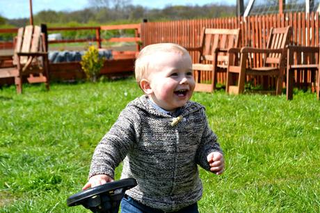 Eshott Heugh Animal Park, Morpeth