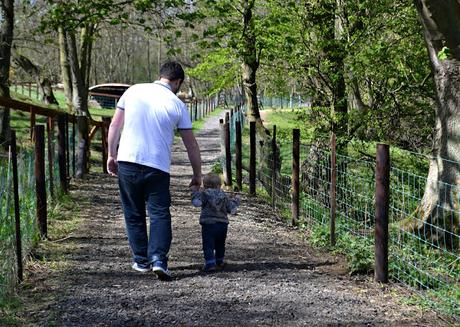 Eshott Heugh Animal Park, Morpeth