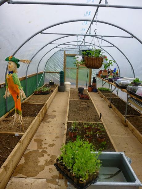 Polytunnel Progress