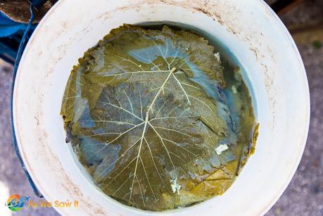 oil-soaked grape leaves in crock