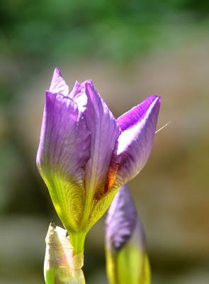 Dancing in the Light