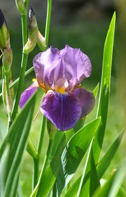 Dancing in the Light