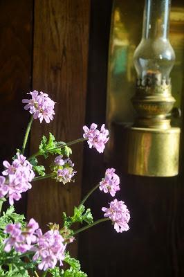 Dancing in the Light