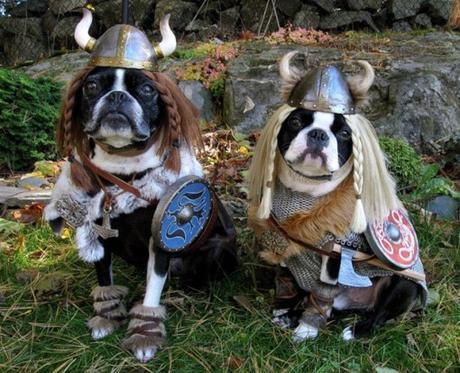 Top 10 Dogs Dressed As TV Series Characters