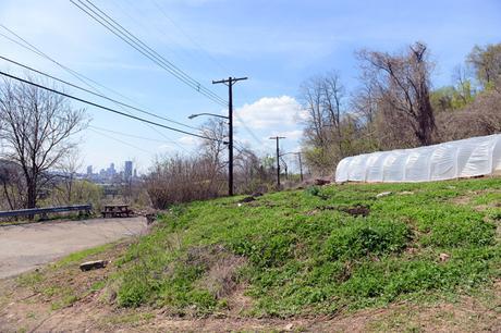 Spring at Hazelwood Urban Farms // www.WithTheGrains.com