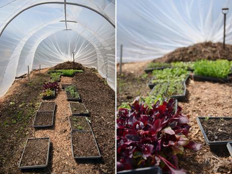 Spring at Hazelwood Urban Farms // www.WithTheGrains.com