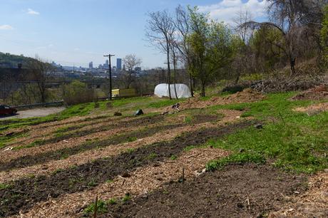 Spring at Hazelwood Urban Farms // www.WithTheGrains.com