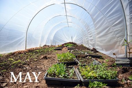 Spring at Hazelwood Urban Farms // www.WithTheGrains.com