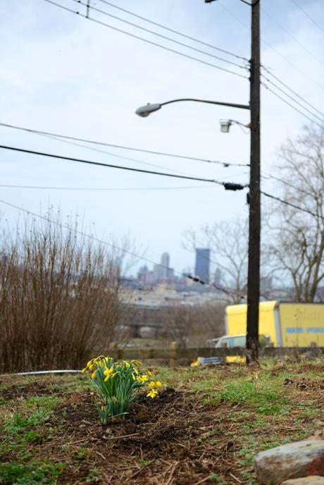 Spring at Hazelwood Urban Farms // www.WithTheGrains.com