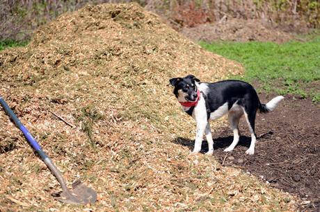 Spring at Hazelwood Urban Farms // www.WithTheGrains.com