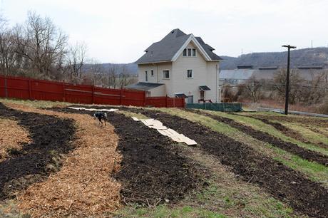 Spring at Hazelwood Urban Farms // www.WithTheGrains.com