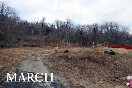 Spring at Hazelwood Urban Farms // www.WithTheGrains.com