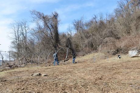 Spring at Hazelwood Urban Farms // www.WithTheGrains.com