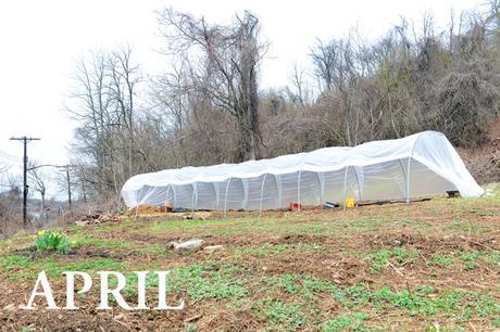 Spring at Hazelwood Urban Farms // www.WithTheGrains.com