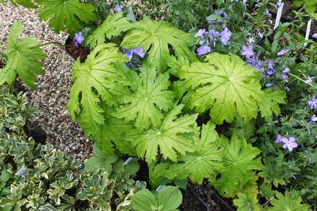 Beeches Nursery Day!