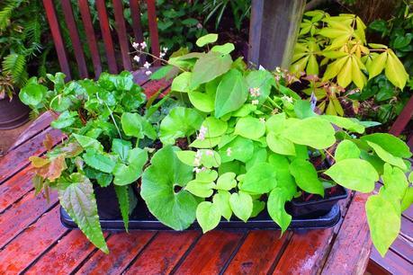 Beeches Nursery Day!