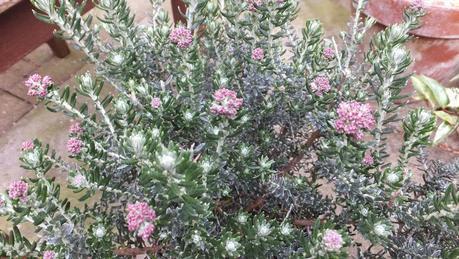 Beeches Nursery Day!