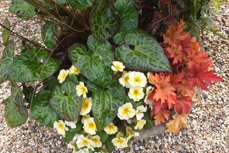 Beeches Nursery Day!