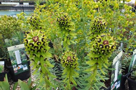 Beeches Nursery Day!