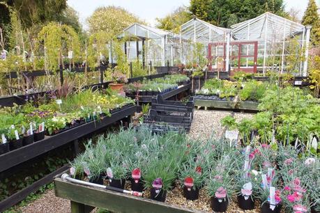 Beeches Nursery Day!