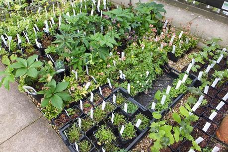 Beeches Nursery Day!