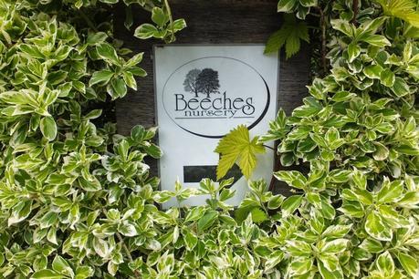 Beeches Nursery Day!