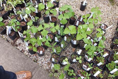 Beeches Nursery Day!