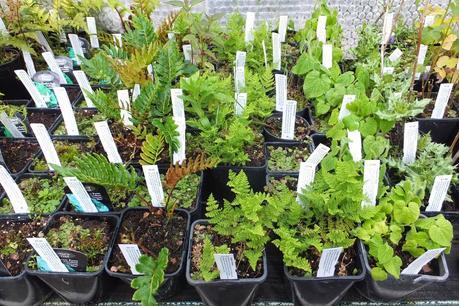 Beeches Nursery Day!