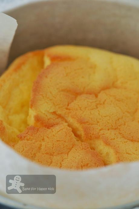 Having problems baking a Japanese Cheesecake?