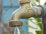 Water Wise Gardening Tips