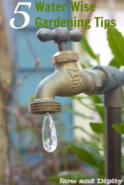 5 Water Wise Gardening Tips