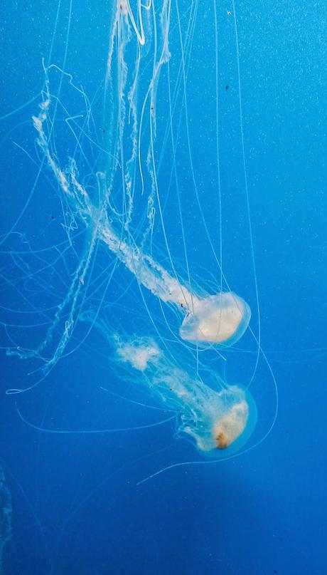 Spring Trip 2   [Orange You Glad It’s Friday]