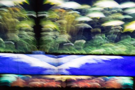 Spring Trip 2   [Orange You Glad It’s Friday]