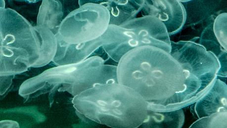 Spring Trip 2   [Orange You Glad It’s Friday]