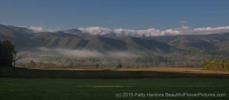 Early Morning at Cades Cove © 2015 Patty Hankins