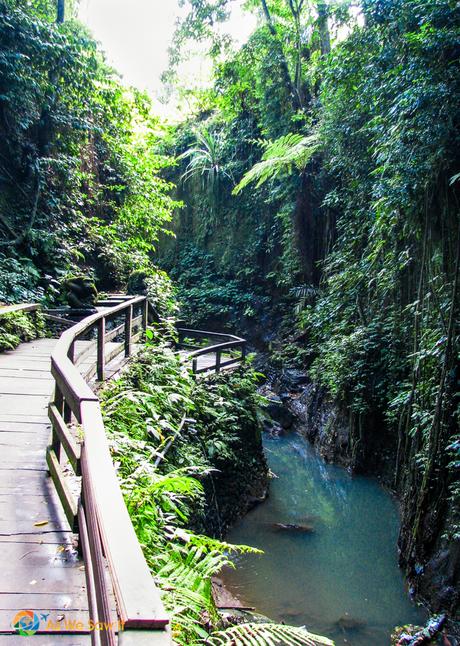 #TheWeeklyPostcard: Ubud: Monkeys, Markets, and Rice Paddies