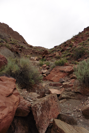 Day 43: Grand Canyon: Nankoweap Tr, Horsetheif Alt, Colorado River