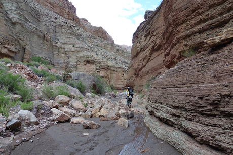 Day 43: Grand Canyon: Nankoweap Tr, Horsetheif Alt, Colorado River