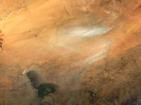 Desertification and Biodiversity